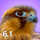 iBird Pro Guide to Birds